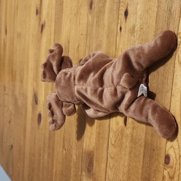 Moose 🫎 9" Beanbag Soft and Plush by Artic Circle Like New! - Picture 3 of 3